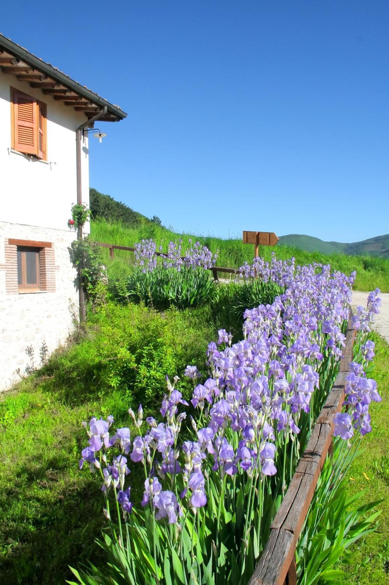Agriturismo La Cascina Di Opaco Норча Экстерьер фото
